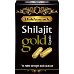 Baidyanath Ayurved Shilajit Gold Capsules (20caps)