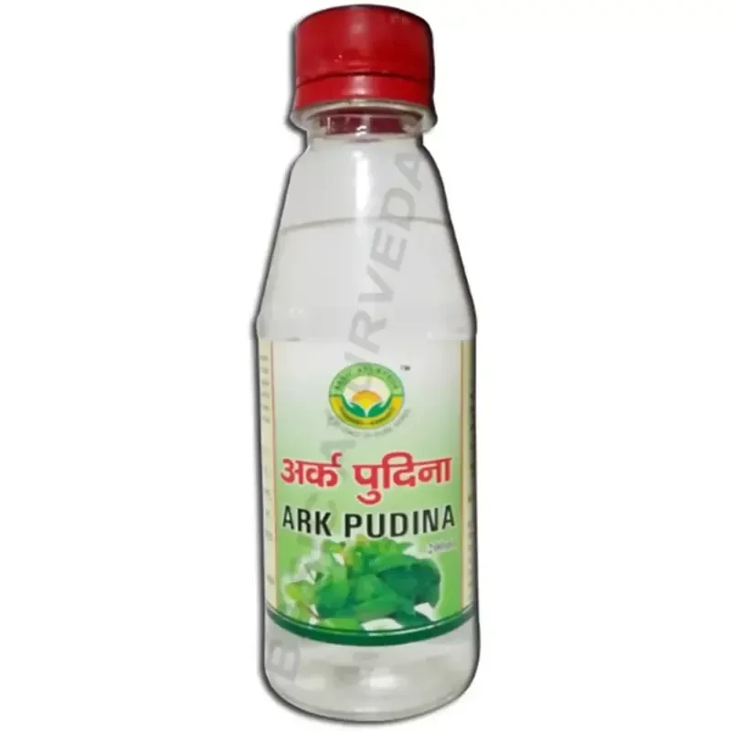 Basic Ayurveda Ark Pudina (200ml)