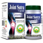 Basic Ayurveda Joint Sutra Capsule (40caps)