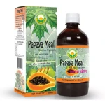 Basic Ayurveda Papaya Meal (500ml)