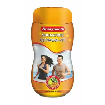 Baidyanath Ayurved Sugarfree Chyawan Vit (500g)