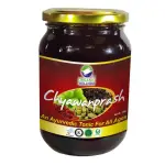 Organic Wellness Chyawanprash (350g)