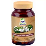 Organic Wellness Garlic 90 Vegetarian Capsules (90caps)