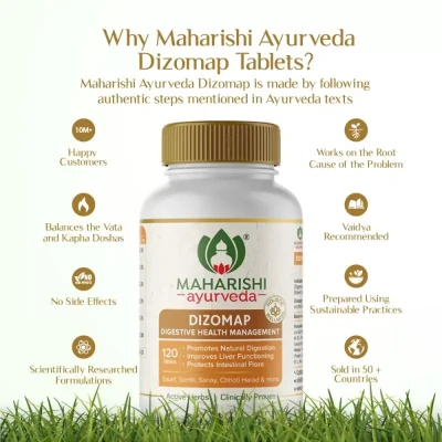 Maharishi Ayurveda Dizomap (120tab)