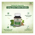 Maharishi Ayurveda Giloy Ghan Vati Tablets (60Tab)