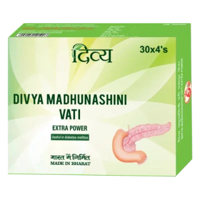 Divya Madhunashini Vati Extra Power (94g)