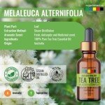 Organix Mantra Aaa Australian Tea Tree Essential Oil (15Ml)