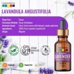 Organix Mantra Bulgarian Lavender Essential Oil (15Ml)