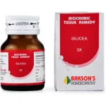 Bakson Silicea