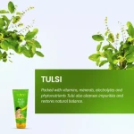 Bakson Face Wash Gel With Neem And Tulsi 110G