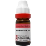 Dr. Reckeweg Anthracinum