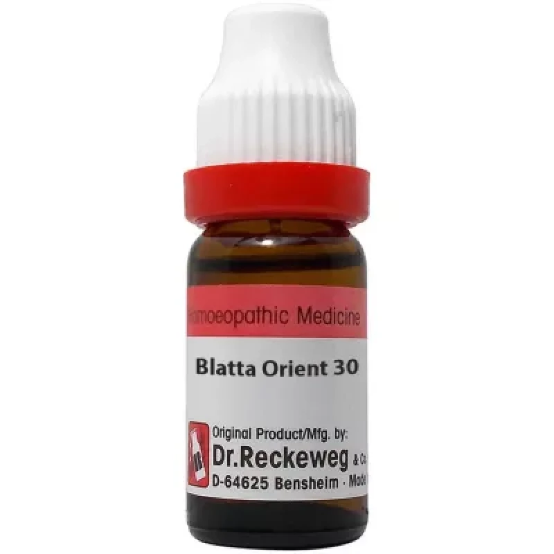 Dr. Reckeweg Blatta Orientalis