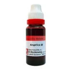 Dr Reckeweg Angelica Archangelica 1X Q (20 ml)