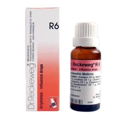 Dr Reckeweg R6 Influenza Drops