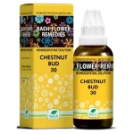 New Life Bach Flower Chestnut Bud (30ml)