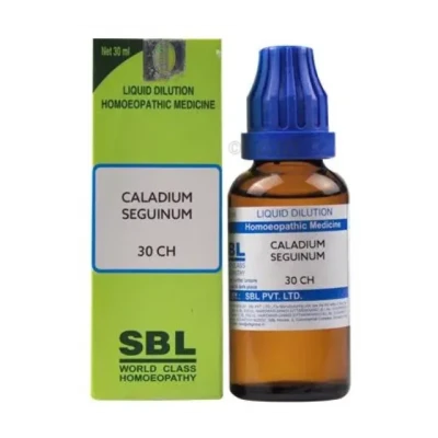 SBL Caladium Seguinum