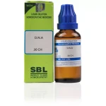 SBL DNA