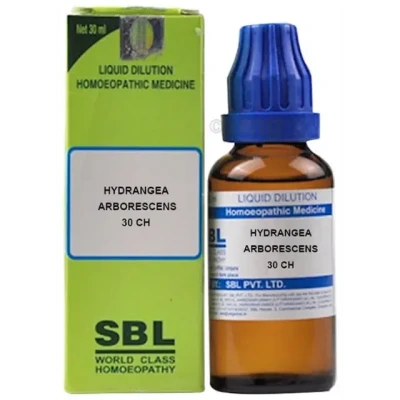 SBL Hydrangea Arborescens