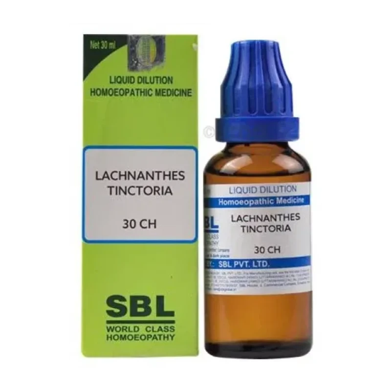 SBL Lachnanthes Tinctoria