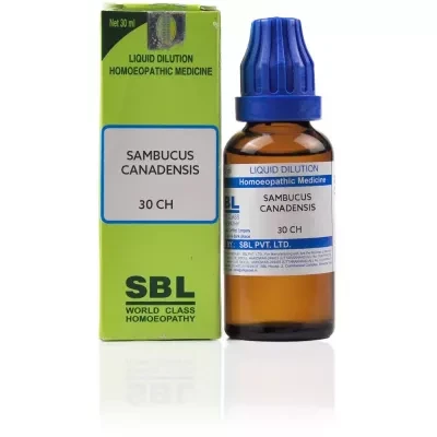 SBL Sambucus Canadensis
