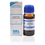 SBL Ailanthus Glandulosus Mother Tincture Q