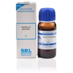 SBL Anagallis Arvensis Mother Tincture Q