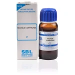 SBL Ricinus Communis Mother Tincture Q