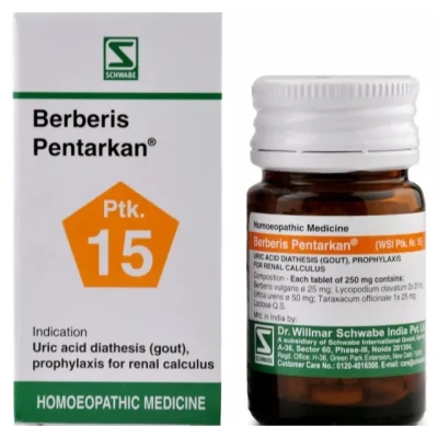 Willmar Schwabe India Berberis Pentarkan Tablets (20 g)