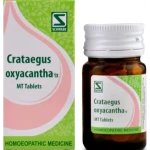 Willmar Schwabe India Crataegus Oxyacantha 1X Tablets (20 g)