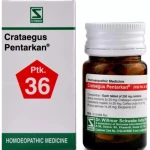 Willmar Schwabe India Crataegus Pentarkan Tablets (20 g)