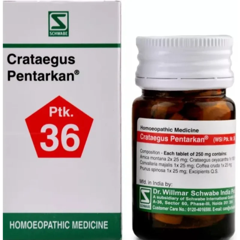 Willmar Schwabe India Crataegus Pentarkan Tablets (20 g)