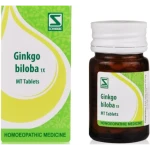 Willmar Schwabe India ginkgo Biloba 1X Tablets (20 g)