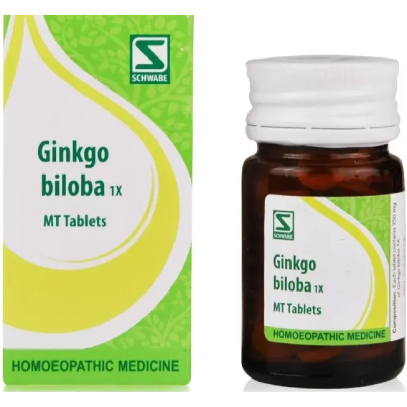 Willmar Schwabe India ginkgo Biloba 1X Tablets (20 g)