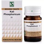 Willmar Schwabe India Kali Phosphoricum