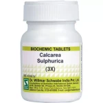 Willmar Schwabe India Calcarea Sulphuricum