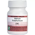 Willmar Schwabe India Natrum Sulphuricum