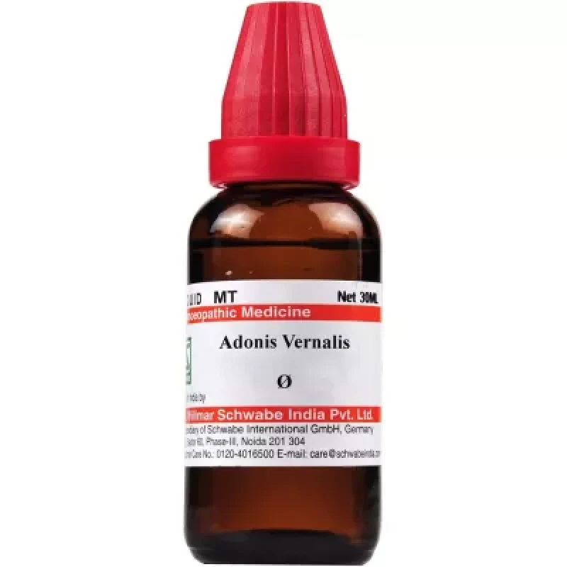 Willmar Schwabe India Adonis Vernalis 1X (Q) (30 ml)