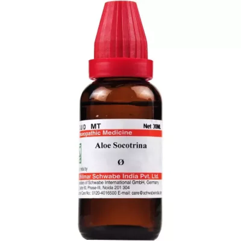 Willmar Schwabe India Aloe Socotrina 1X (Q) (30 ml)