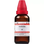 Willmar Schwabe India Asafoetida 1X (Q) (30 ml)