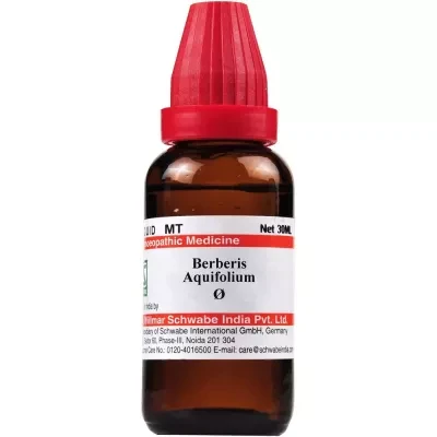 Willmar Schwabe India Berberis Aquifolium 1X (Q) (30 ml)