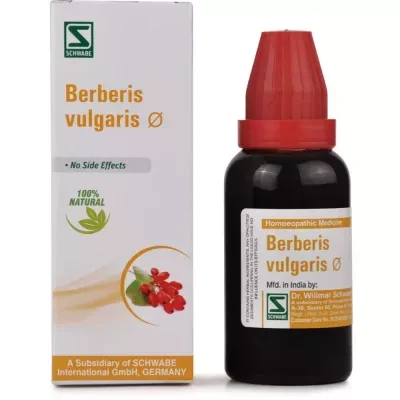 Willmar Schwabe India Berberis Vulgaris 1X (Q) (30 ml)