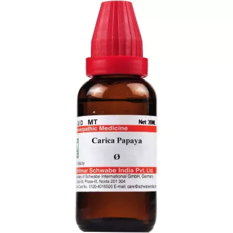 Willmar Schwabe India Carica Papaya 1X (Q) (30 ml)