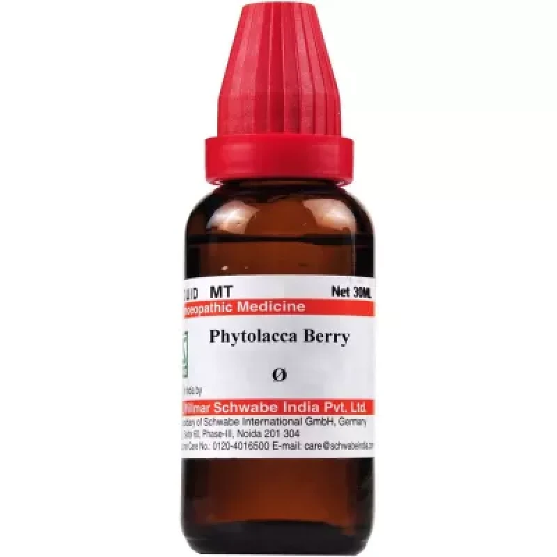 Willmar Schwabe India Phytolacca Berry 1X (Q) (30 ml)